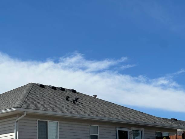 Best Chimney Flashing Repair  in Piney Green, NC